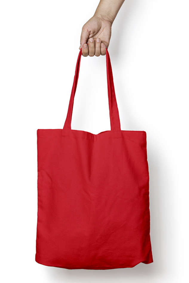 Tote Bag Zipper Standard